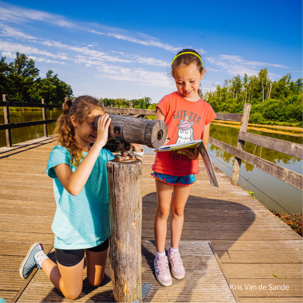 Domein Bovy - Robbie Roerdomp (3).png