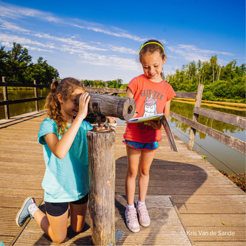 Domein Bovy - Robbie Roerdomp (3).png
