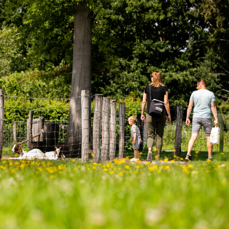 Domein Bovy - Dierenweide (2).png