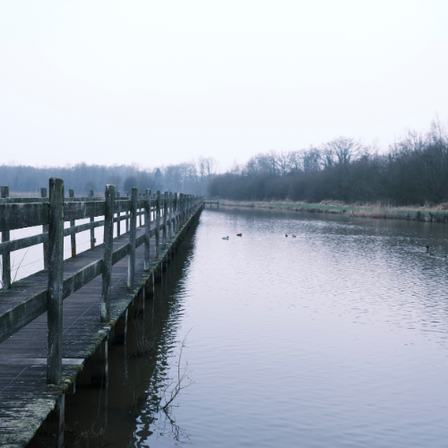 Vlonderpad_DomeinBovy