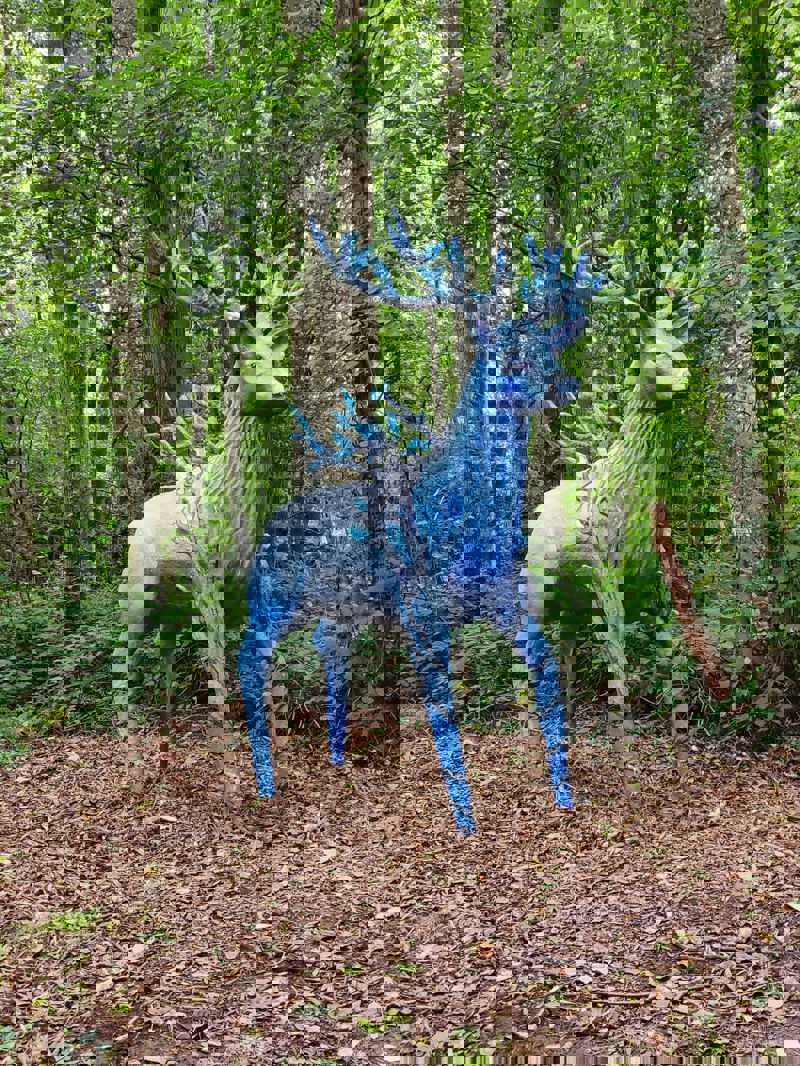 Domein Bovy - Het Hazenpad - Hert