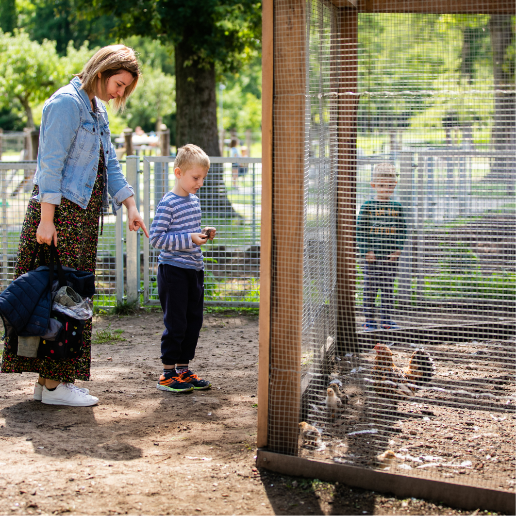 Domein Bovy - Dierenweides.png