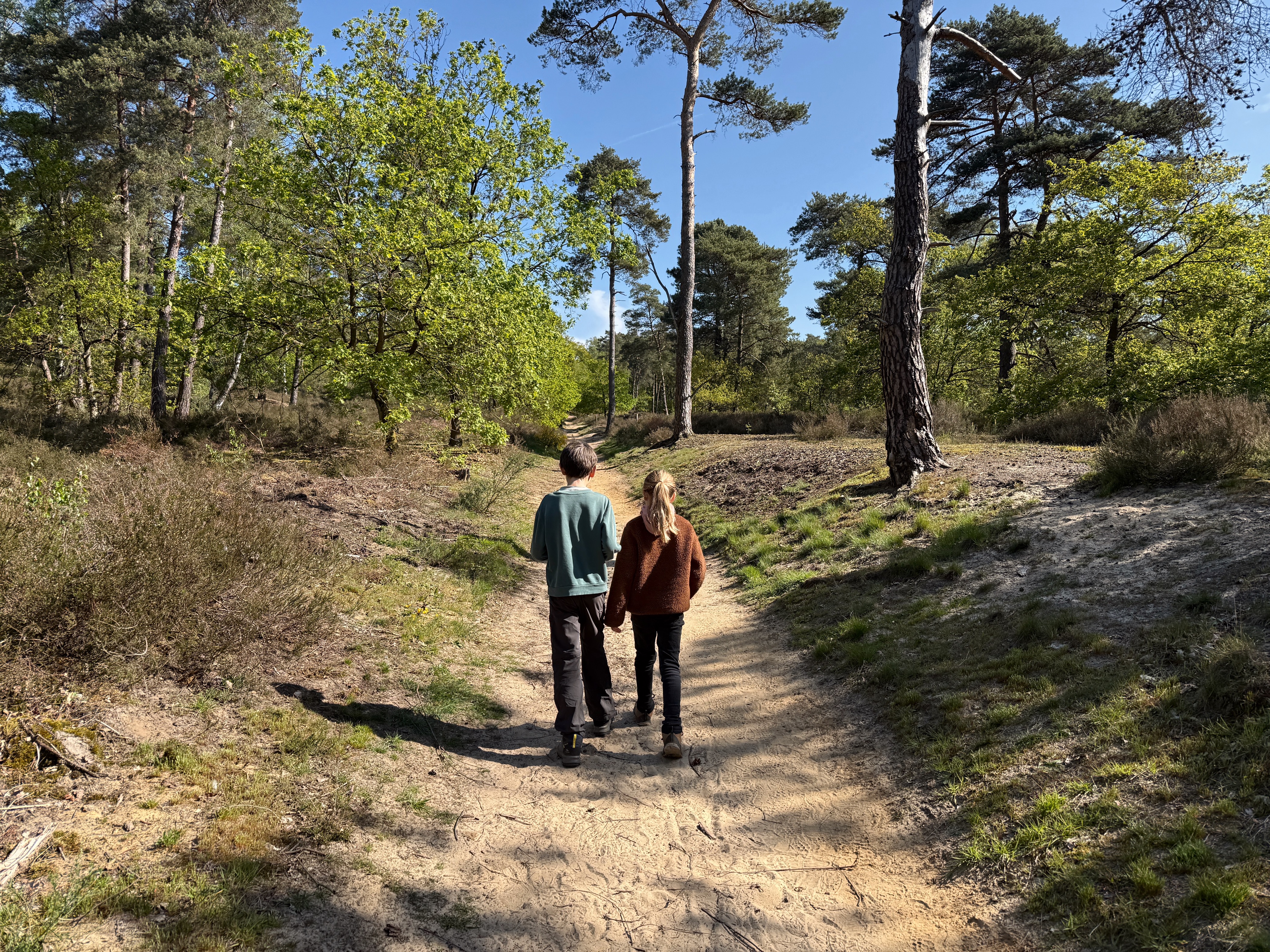 Zoektocht 'Archeoloog Arthur' bij De Kluis (@simpelweg) (3)